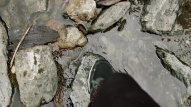 Suya su geçirmez yürüyüş ayakkabıları ve su geçirmez ayakkabıları olan bir adam. Yabanda yürüyüş yapan ya da kamp yapan bir adam yolda ya da patikada yürür. Açık hava yaşam tarzı. Ormanda yürüyen bir adam.