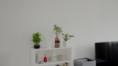 İçinde çeşitli yeşil ev bitkileri ve dekorasyon malzemelerinin bulunduğu beyaz minimalist bir raf, huzurlu ve temiz bir ev ortamı yaratıyor. Beyaz Mobilya ve Yeşil Santrallerle Modern Ev İçi