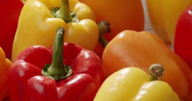 Taze kırmızı, sarı ve turuncu dolma biberlerden oluşan canlı bir yakın çekim, su damlacıklarıyla, doğal gün ışığında tazeliklerini ve canlı renklerini sergiliyorlar. Canlı Taze Sebzeler