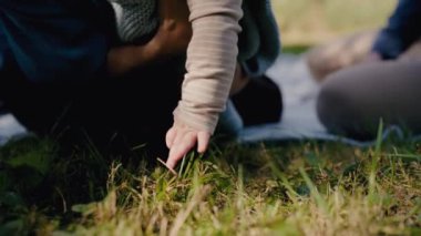 Aile pikniğinde, küçük bir çocuğun çimenlere uzandığı ve dünyayı keşfettiği hassas bir anı yakına çeken yakın plan bir fotoğraf. Aile pikniği, Çimenlere Uzanan Çocuk