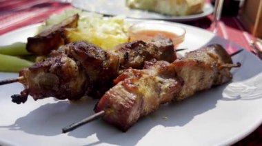 Tabakta sebzelerle servis edilen sulu ızgara et şişleri. Açık hava yemekleri, barbekü partileri ve aile toplantıları için mükemmel. Görüntü taze, tuzlu mutfağı çağrıştırıyor..