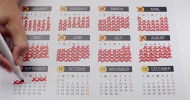 Aylık takvimde günleri kırmızı kalemle işaretleyen birinin yakın plan görüntüsü. Görüntü bir yıl boyunca ilerleme, takip ve beklenti hissini yakalar..