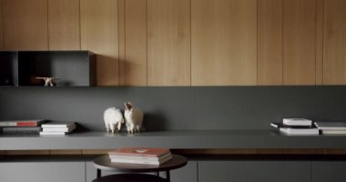 Ahşap duvarlı ve gri mobilyalı minimalist oturma odası. Köşedeki kanepe ve kitaplık ile. Moda mobilyalar. Minimalist İç İşleri. Samimi Modern Mobilya Tasarımı. Lüks Zarif Oda