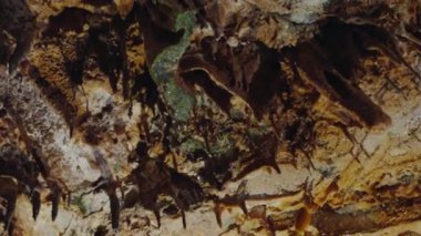 Portekiz 'deki doğal bir mağaradaki karmaşık dokulara ve canlı renklere yakın çekim, jeolojik güzelliği gözler önüne seriyor. Portekiz 'de Şaşırtıcı Doğal Mağara Dokuları ve Renkleri