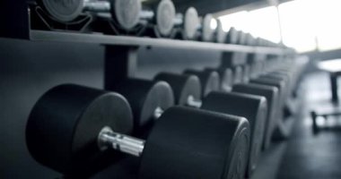 Raflarda siyah dambıllar olan, fitness ve ağırlık antrenmanlarına odaklanmış iyi organize edilmiş bir spor salonu. Profesyonel Spor Salonu Raflarda Dambılları Gösteriyor