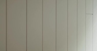 Dikey çizgileri ve ince bir kapı tasarımı olan temiz beyaz bir duvarın olduğu katıksız bir minimalist iç mimari. Modern dekor teması için mükemmel. Modern İç mekanda Minimalist Beyaz Duvar ve Kapı Tasarımı