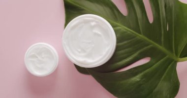 Kozmetik için beyaz kavanozlar. Stüdyoda pembe bir arka planda tropikal yapraklı Monstera. Doğal malzemelere dayalı kozmetik yağları, fırça, tonik, vücut bakımı. Doğal Organik Kozmetik. Üst görünüm.