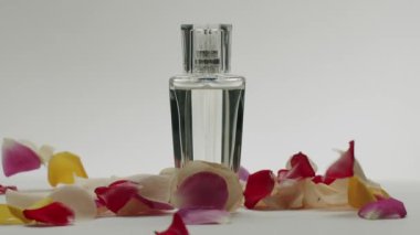 Zarafet ve romantizmi çağrıştıran minimalist bir ortamda gül yapraklarıyla çevrili lüks bir cam parfüm şişesi. Güzellik, koku ve lüks yaşam tarzı kavramları için mükemmel..