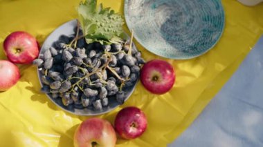 Canlı bir aile pikniği. Taze elmalar, üzümler ve güneş ışığında sarı bir masa örtüsü üzerine dekoratif mavi bir kâse. Güneşli bir günde Taze Elma ve Üzümlü Aile Pikniği