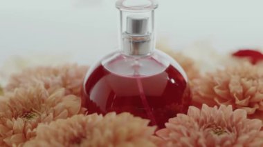 Yumuşak renkli kasımpatı çiçekleriyle çevrili kırmızı sıvı tabanlı göz alıcı bir parfüm şişesi. Huzurlu bir ortamda zarafet ve lüks yayıyor. Zarif Parfüm Şişe