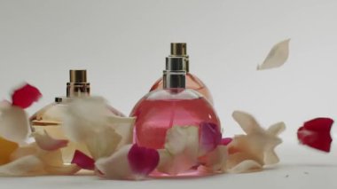 Renkli sıvılarla dolu zarif parfüm şişeleri, tarafsız bir arkaplanda dağınık gül yapraklarıyla çevrili. Güzellik, moda ve parfüm temaları için mükemmel. Zarif parfüm şişeleri