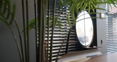 Minimalist yuvarlak aynalı ve oda çiçekli modern ahşap yatak odası masası. Oda palmiyesi dekoru. Minimalist siyah panjurlar. Beauty Interior 'da yatak odası aksesuarı, deri koltuk ve modern masa..