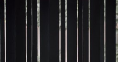 Arka planda yumuşak, bulanık bir orman sahnesi olan bir dizi dikey siyah çubuk içeren soyut görüntü. Sınırlarla, mahremiyetle veya minimalizmle ilgili kavramlar için idealdir.