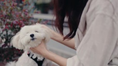Bir kadın küçük, tüylü beyaz köpeğini dışarıda nazikçe fırçalar. Köpek ilgiyi sever ve sakince oturur. Sevgi dolu bir bağları var. Sahne sıcaklığı, özeni ve arkadaşlığı çağrıştırıyor..