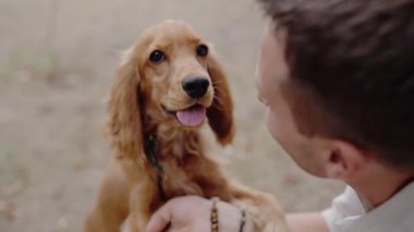 Bir adam parkta sevimli Cocker Spaniel köpeğiyle etkileşime giriyor. Yavru köpek ilgiyi sever ve kuyruğunu sallar. Bu iç açıcı sahne, aşkın özel bir anını yakalar.