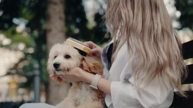 Genç bir kadın parkta sevimli tüylü köpeğini nazikçe fırçalıyor. Bir bankta oturup birlikte güzel vakit geçiriyorlar. Köpek, sahibinin paltosuyla ilgilendiği gibi rahat ve memnun görünüyor..