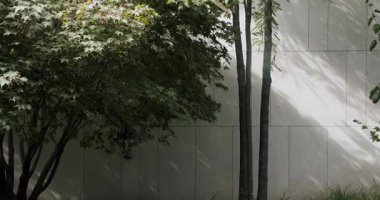 Yapraklı ağaçların modern, segmentli bir duvara karşı durduğu sakin bir şehir bahçesi manzarası. Yumuşak gölgeler bırakıyor. Ağaçlı ve Modern Duvar Tasarımlı Serene Şehir Bahçesi