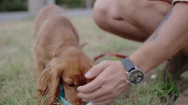 Bir adam taşınabilir bir su şişesinden köpeğine su verir. Köpek güneşli bir günde serinletici suyun tadını çıkararak hevesle içer. Erkek ve köpek arkadaşı arasındaki bağ.