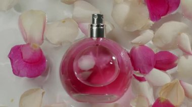 Zarafet ve romantizm saçan yumuşak beyaz ve pembe gül yapraklarıyla çevrili zarif pembe bir parfüm şişesi. Suda Gül Yaprakları olan pembe parfüm şişesi. Zarif ve Aromatik. Zarif parfüm şişeleri
