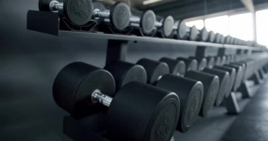 Spor salonundaki parlak, modern bir askıda serili siyah halterleri gösteren bir resim net odak ve tam bir stoğu vurguluyor. Modern Spor Salonu Rafında Dambıllar, Spor Malzemelerine Odaklanma