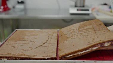 Profesyonel bir mutfak ortamında büyük katmanlı, kremalı ve reçelli sünger kek tutan bir şefin yakın plan görüntüsü. Profesyonel Aşçı Mutfakta Büyük Katmanlı Sünger Pastası Hazırlıyor