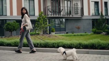 Genç bir kadın, küçük beyaz köpeğini bir apartmanın yakınındaki asfalt bir yolda gezdiriyor. Gülümsüyor ve mutlu evcil hayvanına bakıyor. Köpek yürümekten hoşlanıyor..