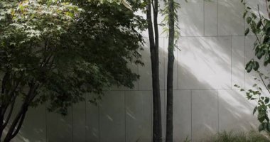 Yeşil yaprakların ve ağaçların olduğu sakin bir manzara gri beton duvarla çelişiyor, kentsel doğa entegrasyonunu simgeliyor. Çağdaş Gri Beton Duvara Karşı Yeşiller