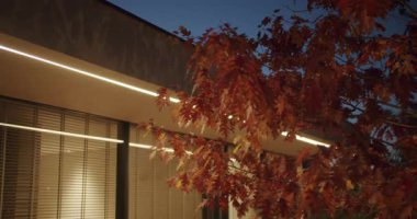 Kırmızı sonbahar yaprakları bir meşe ağacında akşam rüzgarında usulca sallanıyor. Modern evin içinden gelen sıcak ışıklarla aydınlatılan bu sahne huzur ve sükuneti çağrıştırıyor..