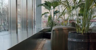 Geniş pencereli, metal aksanlı, deri mobilyalı ve saksı bitkilerli modern pano mağazası. Doğal ışık boşluğu doldurur, rahatlatıcı ve davetkar bir atmosfer yaratır. Perakende, yaşam tarzı,