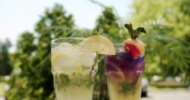 Limon, narenciye, portakal, greyfurt, nane, su ve buzla dolu ferahlatıcı limonata içecekler. Ferahlatıcı limon. Bir bardak limonata..