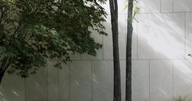 Bereketli yeşil bir ağaç, doğa ve kentsel mimarinin karışımını vurgulayan geometrik beton bir duvarın tam tersi bir konumda duruyor. Kentsel Ayarlarda Çağdaş Beton Duvara Karşı Yeşil Ağaç