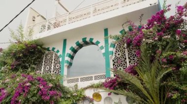 Süslü kafes ve balkonlu güzel beyaz ve deniz mavisi bir Fas binası gösteriliyor. Canlı mor bougainvillea çiçekleri ve yemyeşil çerçeve, Fas mimarisi.