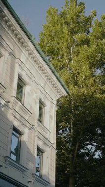 Karmaşık mimari detaylarla dolu zarif bir yapı, sıcak güneş ışığıyla yıkanmış. Görkemli bir ağaç yanında duruyor ve doğa ile şehir tasarımının uyumlu bir karışımını oluşturuyor..