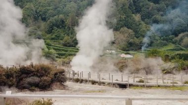 Etrafı yemyeşil ormanlarla çevrili, dumanı tüten kaplıcaların manzarası. Lush Green Forest Area 'daki Hot Springs ve Steamy Landscape. Volkanik Manzarada Buharlı Fümerol