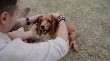 Bir adam tatlı Cocker Spaniel köpeğini nazikçe okşar. Yavru köpek ilgiyi sever ve sahibine sevgiyle bakar. Parkta aşk ve arkadaşlık arasında özel bir bağ vardır. Cocker Spaniel Köpek