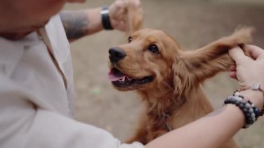 Bir adam, Golden Retriever köpek yavrusunun kulaklarını nazikçe tutar ve iç açıcı bir bağ ve neşe sahnesi yaratır. Yavruların mutlu ifadesi, evcil hayvan ve sahibinin sevgi ve ilgisini yansıtır.,