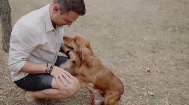 Bir adam evcil köpeği Golden Cocker Spaniel ile parkta etkileşime girer. Köpek yavrusu onu selamlamak için ayağa fırlıyor. Güneşli bir sonbahar gününde açık havada özel bir an paylaşırlar..