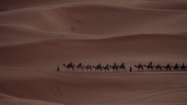 Deve kervanı Fas 'taki Sahra Çölü' nü geziyor. Bir grup turist, tur rehberleriyle kum tepelerinde deve sürüşünün keyfini çıkarıyorlar. Bu gün batımında güzel bir Kuzey Afrika macerası..