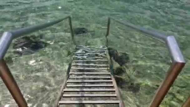 海の入り口への金属製の階段 — ストック動画