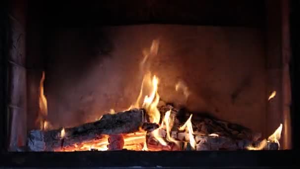 나무는 벽난로에서 불타고 — 비디오