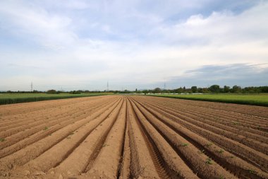 Manzara Sahası. Taze sürülmüş tarla.