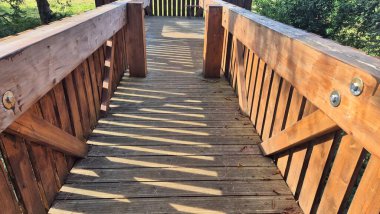 Tahta köprüden gözlem güvertesine.