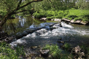 Almanya 'da Tauber Nehri' nde Akıntı.