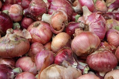 Hırvatistan'da bir çarşıda çeşitli sebzeler satılıyor.