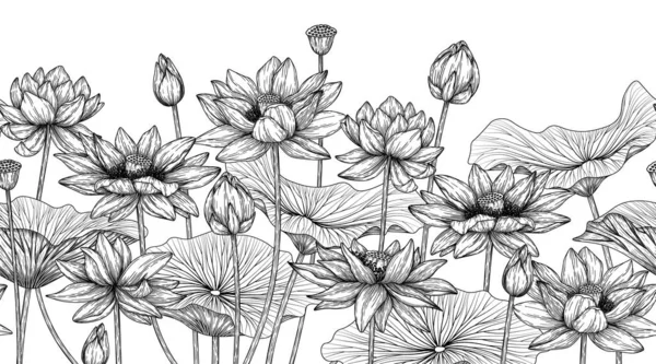 Bezešvé Horizontální Vzor Zahrada Lotosovými Květy Rytí Stylu — Stockový vektor