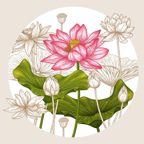 Vektorová Ilustrace Lotosové Květinové Zahrady Rytém Stylu Barvě — Stockový vektor