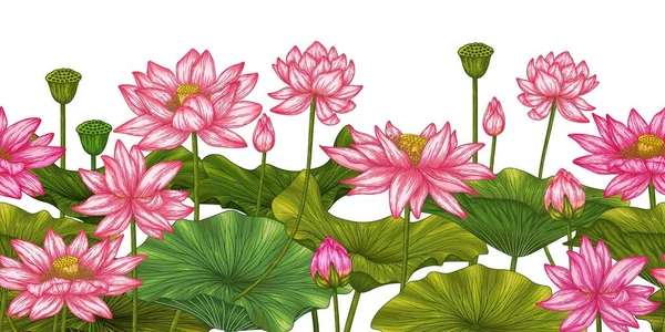 蓮の花とシームレスな水平パターンの庭 — ストックベクタ