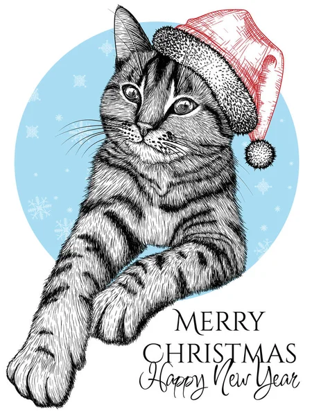 Santa şapkalı tekir kedinin kabartma tarzındaki vektör çizimi