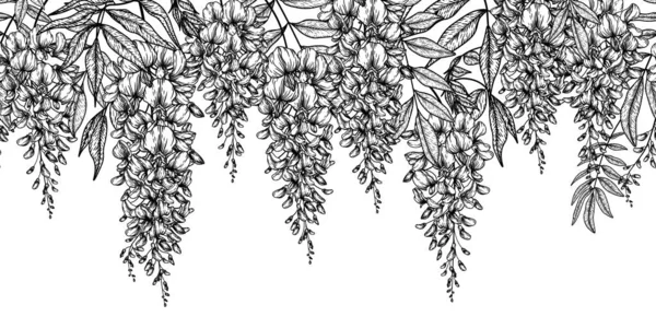  Seamless vector horizontal pattern bush of flowering wisteria in engraving style