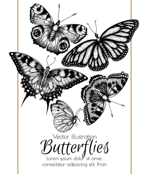Ilustracja Wektorowa Graficznych Owadów Liniowych Monarcha Motyl Rój Motyl Paw — Wektor stockowy